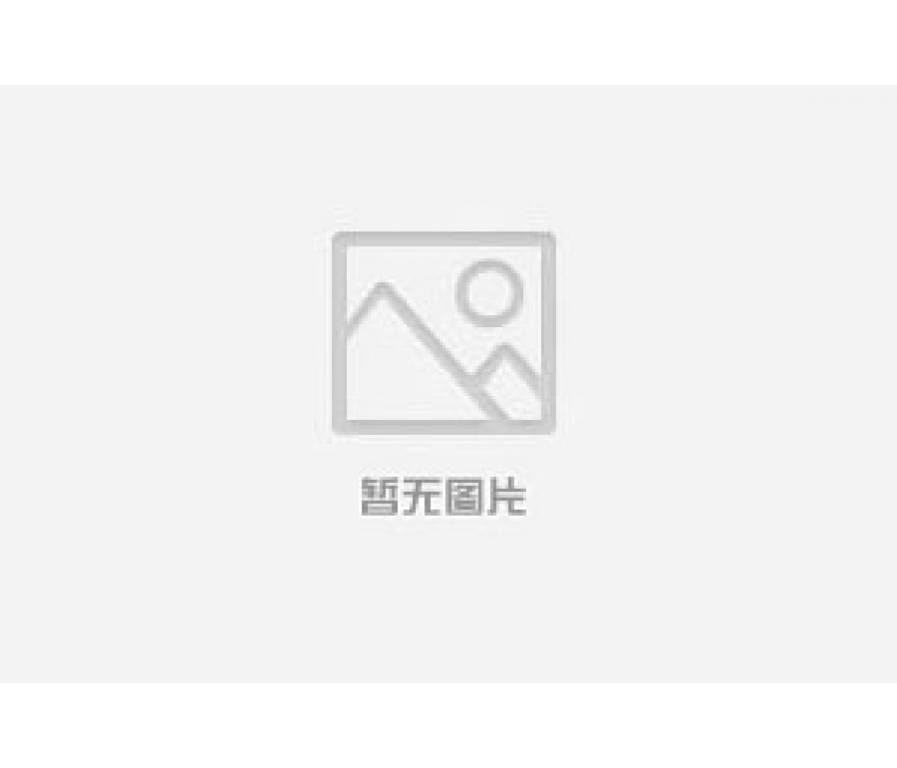 場館吊裝貓步架(專利產(chǎn)品)